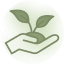 sprout
