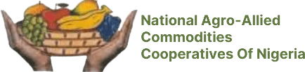 naccon logo.png